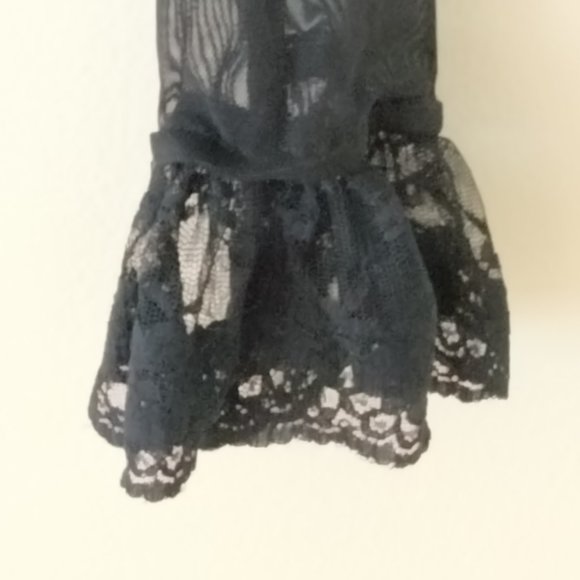 Aggie Black Lace Hook and Eye Corset Bustier top with mesh sleeves - Picture 10 of 13